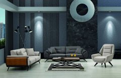 Oryon Koltuk Takımı